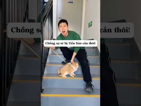 Bố bị chó cắn nên rất sợ chó với mèo #shorts #funny #shortvideo