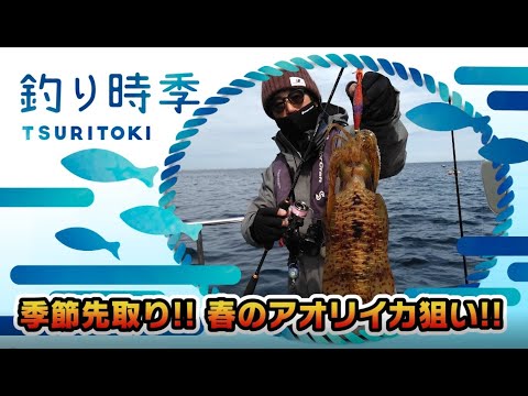 季節先取り!! 春のアオリイカ狙い!!（釣り時季/2021年4月11日放送）