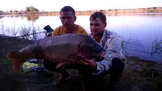 Как поймать сазана на нижней волге снасти