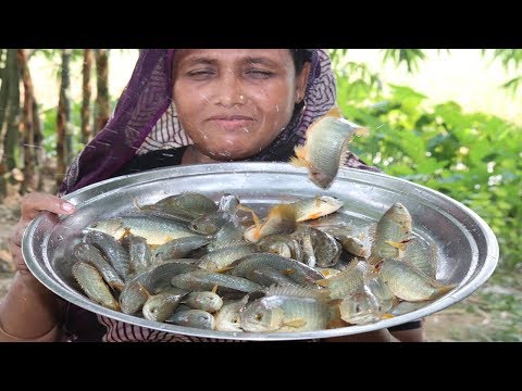 Village Food Koi Mach Vuna Recipe Delicious Bengali Cooking Climbing Perch Fish Curry Tel Koi Recipe Video