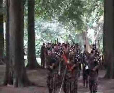 Dutch Militairy Pipes and Drums