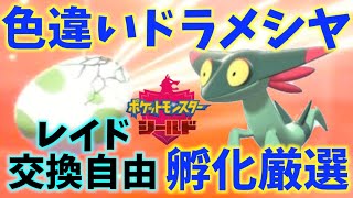 【ドラメシヤ色違い】光るお守り国際孵化厳選！レイド・交換募集自由！ポケモンソード、シールド