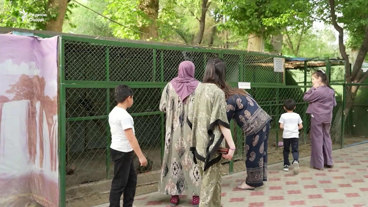 Ахбори Озодӣ аз 29-уми апрели соли 2026 (Пахши зинда)