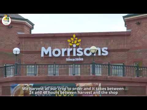 Morrisons | Farming | Brussels Sprouts | Our Farmers