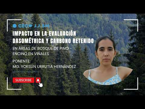 Evaluación Dasométrica y Carbono en Bosques de Viñales | Mg. Yoeslin Urrutia