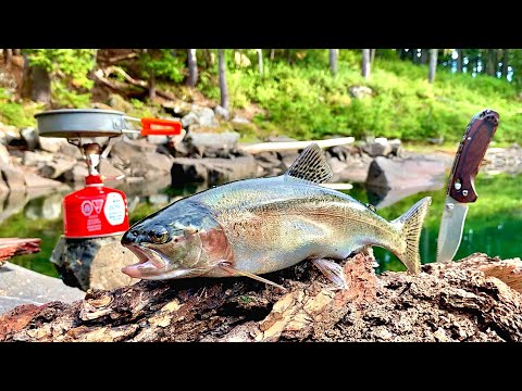 GIANT TROUT Fishing in the MOUNTAINS!!! SOLO Backpacking! (Catch, Cook, Camp pt.2)