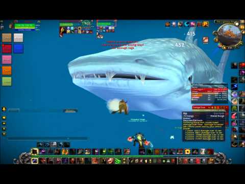 Lag Shack vs Whale Shark
