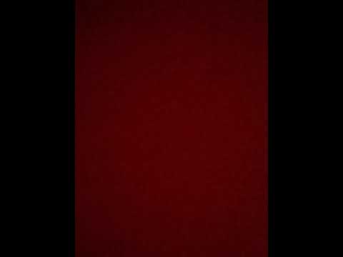 rap del Firulais 2021