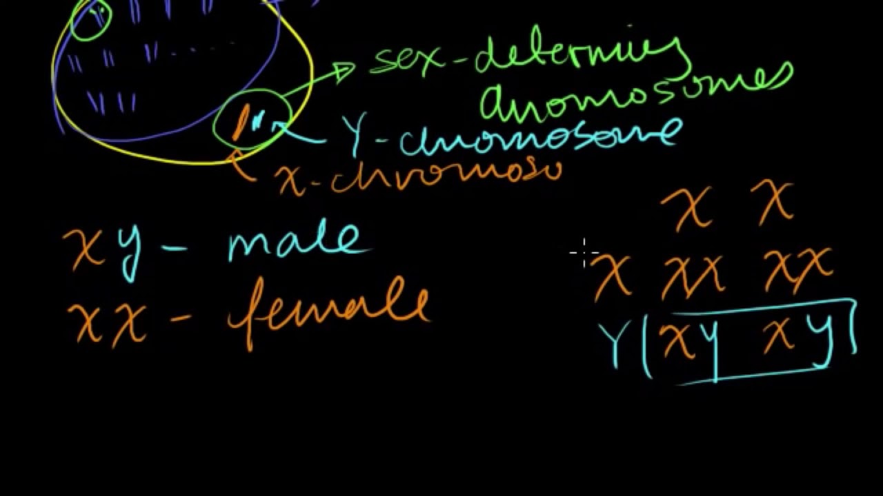 Sex determination | Heredity & Evolution | Biology | Khan Academy