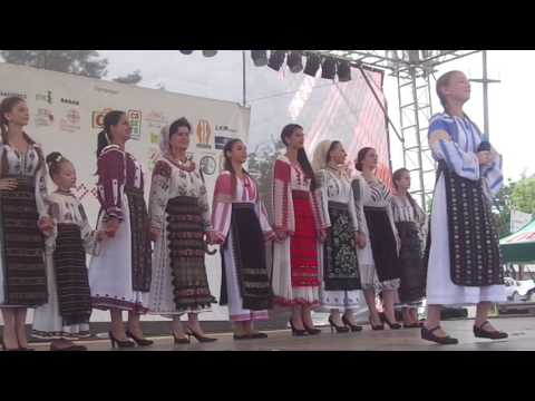 Cornelia Constantina Orleanu