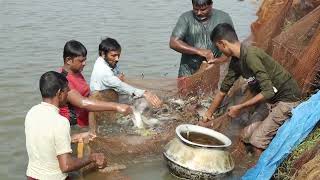 মৎস্য আইন বাস্তবায়ন বিষয়ক প্রামাণ্যচিত্র