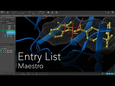 Maestro - Entry List