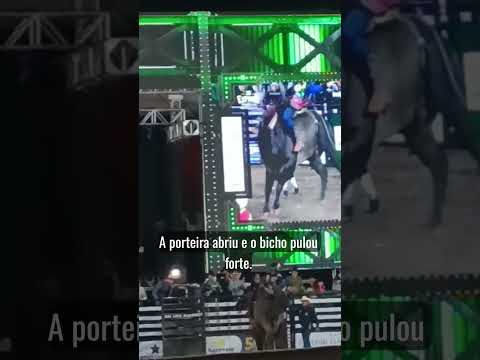 rodeio e show do di Paullo e Paulino de Silvânia Goiás Brasil