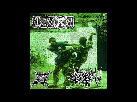 CHANGOZ!XHAVXFEXS SPLIT