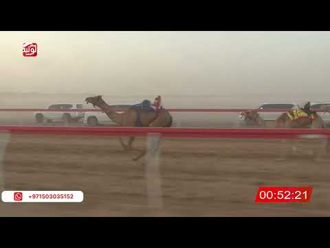 ش 5 (الشاهينية) لـ محمد بالحزمي قناص العامري 2:09 , شارة الصندوق 2026/06/20 فطامين الروضة 