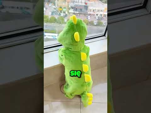 Pomyliła syna z psem 😂