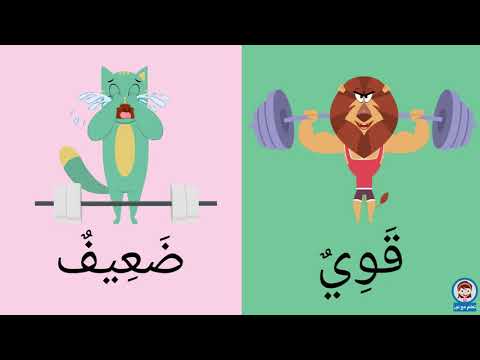 الكلمات وعكسها للأطفال | opposite words in Arabic for kids