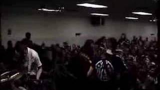 Small Brown Bike (live)