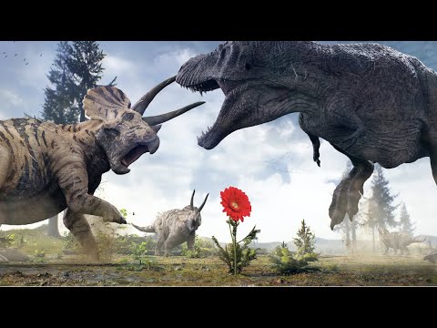 レペノマムスについて詳しく解説