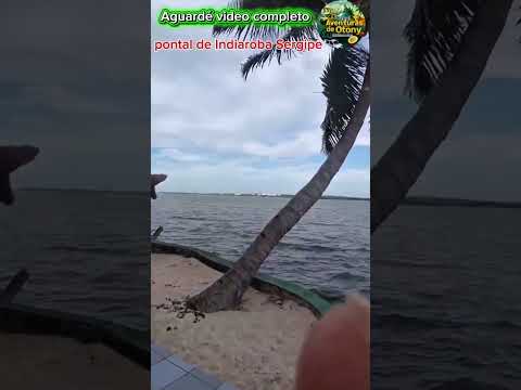 pontal de Indiaroba#sergipe#voce#precisa#conhece@