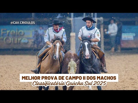 Campana Estradero • Melhor Prova de Campo II dos Machos na Classificatória Gaúcha Sul 2025
