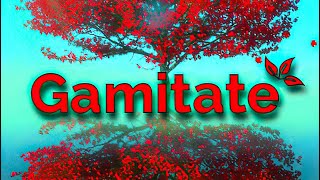 Gamitate The Meditation Game | GamePlay PC