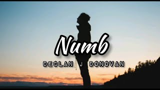 Declan J Donovan - Numb | Lyric Video