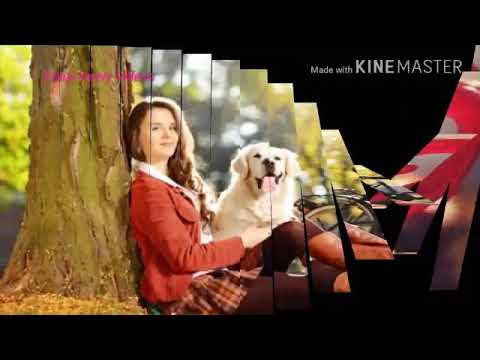 Mahnoor name WhatsApp status. Mahnoor name beautiful WhatsApp status.