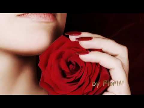 Nicu Paleru - Esti mica si perversa