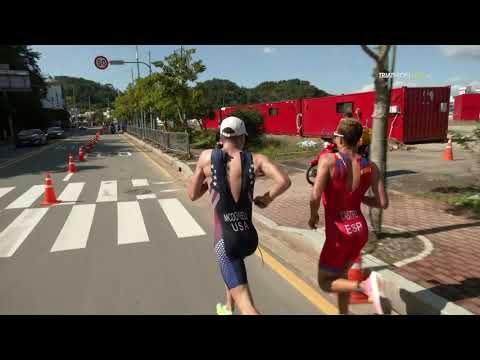 2019 Tongyeong ITU World Cup - Elite Men's Highlights