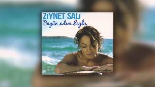 Ziynet Sali - To treno