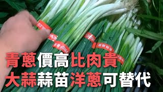 [問卦] 有什麼可以代替青蔥的？