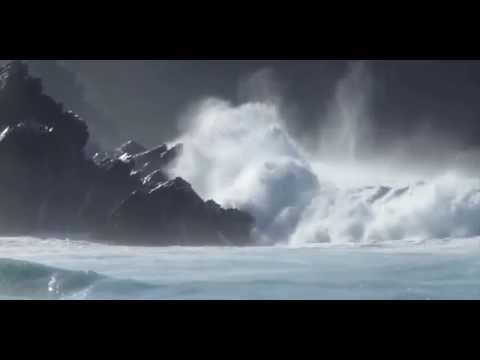 Nil Sayura (Karunarathna Diwulgane)