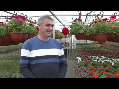 Znanje imanje: Pelcer uspeha