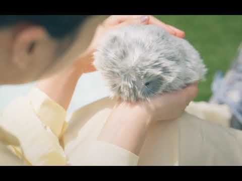 CASIO,AIペットロボット,Moflin (モフリン)｜鍵盤、電子ピアノ通販otto