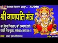 Ganesh Mantra Sarva Vighna Vinashay Devotional Ganpati Mantra Hindi