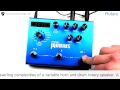 Strymon Mobius Walk through 1