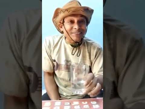 PRASENJIT NANDY ¬‰ ° ›¬¿