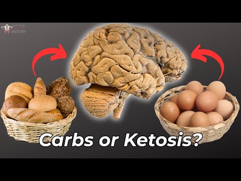 Can You REALLY Live Without Carbs? Shocking Truth About Ketosis & Exercise