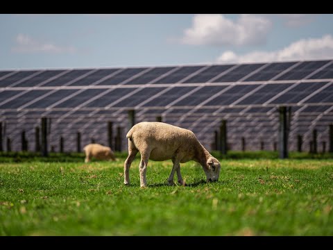 Lodestone Energy Update June 2023