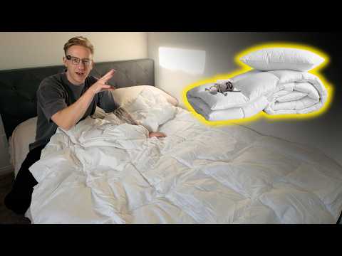 Serta Comforter
