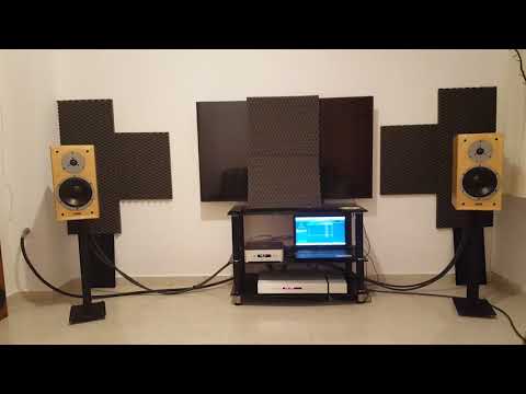 Densen b150 plus +Dynaudio Special Twenty-Five+dac Wadia di122 +virtual dynamics master nordost spm