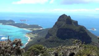 preview picture of video 'Mt Gower Climb Lord Howe Island'