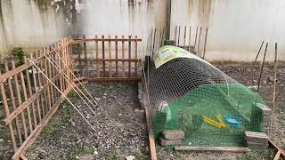 Download lagu Ayam dan DIY Reban Ayam (Part 1):鶏とDIYクープ mp3 Download lagu Ayam dan DIY Reban Ayam (Part 1):鶏とDIYクープ mp3