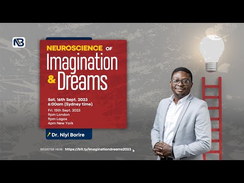 The Neuroscience of Imagination and Dreams