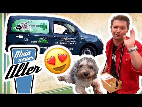 🐶 Mobile Tierrettung in NOT! - Ein neuer Transporter muss her! 🚐 | Mein neuer Alter
