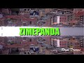 ZIMEPANDA - VDJ Jones ft Mbogi Genje, Wakali Wao | Official Dance Video | DANCE REPUBLIC AFRICA
