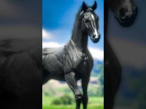 Free Black Arabian 🐎