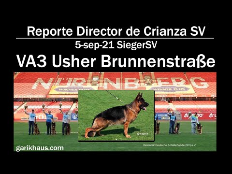 BSZS 2021 reporte VA3 Usher aus der Brunnenstraße