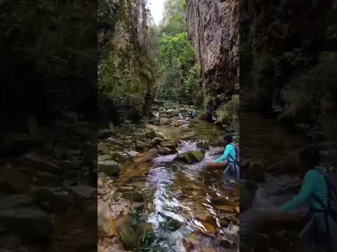 Serra da Canasta, Delfinópolis - MG